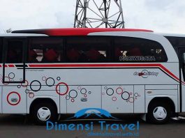 Daftar Harga Sewa Bus Pariwisata di Pacitan Terbaru
