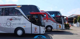Daftar Harga Sewa Bus Pariwisata di Lamongan Terbaru