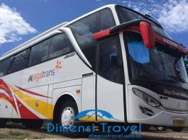 Daftar Harga Sewa Bus Pariwisata di Sidoarjo Terbaru
