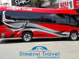 Daftar Harga Sewa Elf Pariwisata di Lumajang Terbaru
