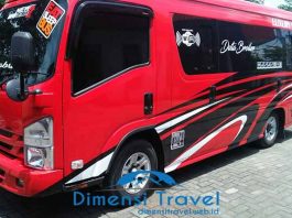Daftar Harga Sewa Elf Pariwisata di Nganjuk Terbaru